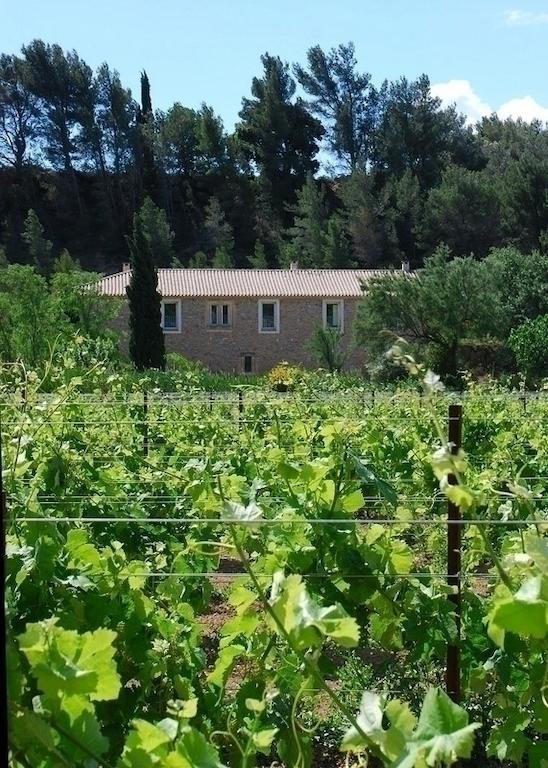 Domaine De "Creva-Tinas" Panzió Mailhac Kültér fotó