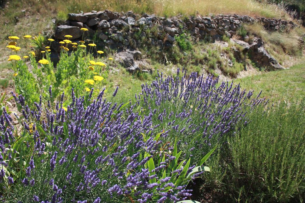 Domaine De "Creva-Tinas" Panzió Mailhac Kültér fotó