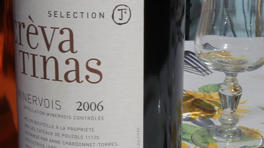 Domaine De "Creva-Tinas" Panzió Mailhac Kültér fotó